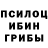Псилоцибиновые грибы MAGIC MUSHROOMS Tyrell Boggs