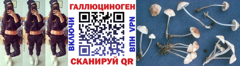 закладки  Пестово  Галлюциногенные грибы мухоморы 